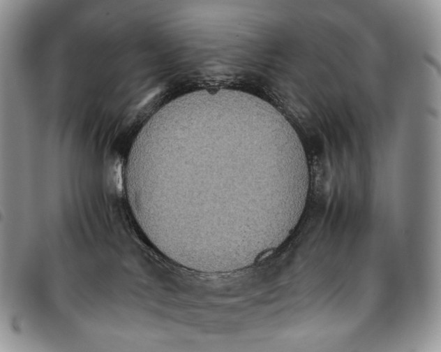 X0000096700042200803041330