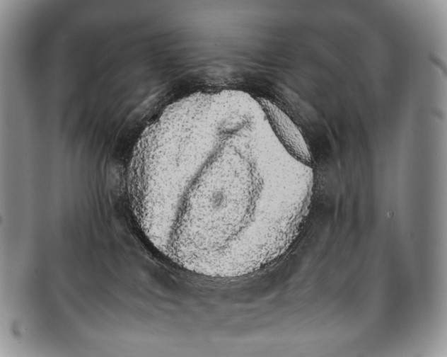 X0000096700043200803041330