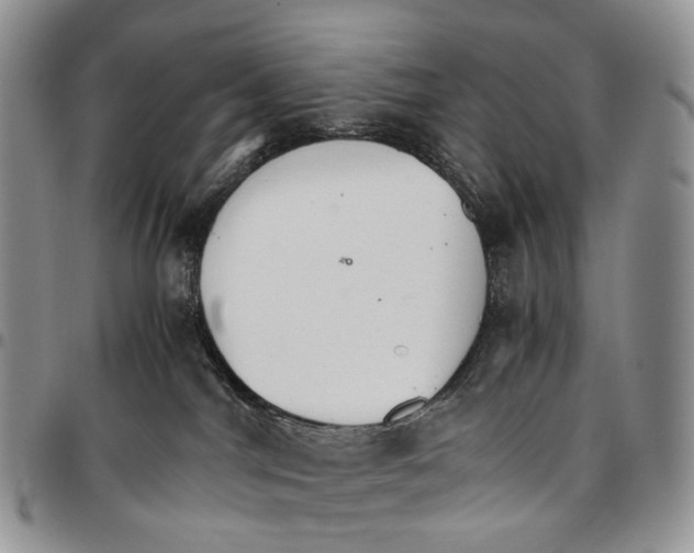 X0000096700044200803041330