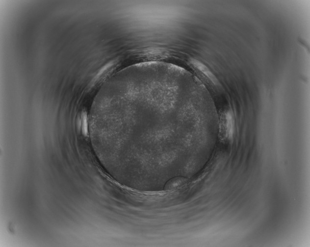 X0000096700046200803041330