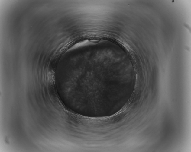 X0000096700048200803041330