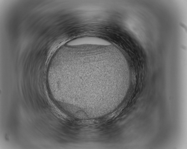 X0000096700049200803041329