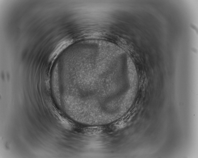 X0000096700050200803041329
