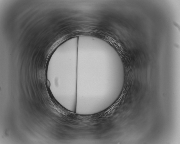X0000096700051200803041329