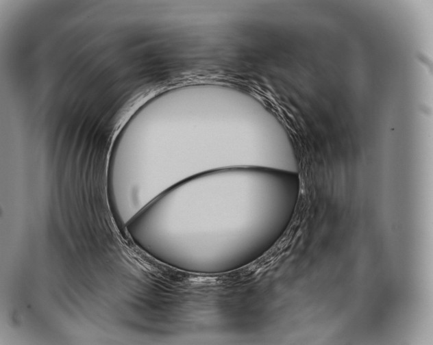 X0000096700052200803041329
