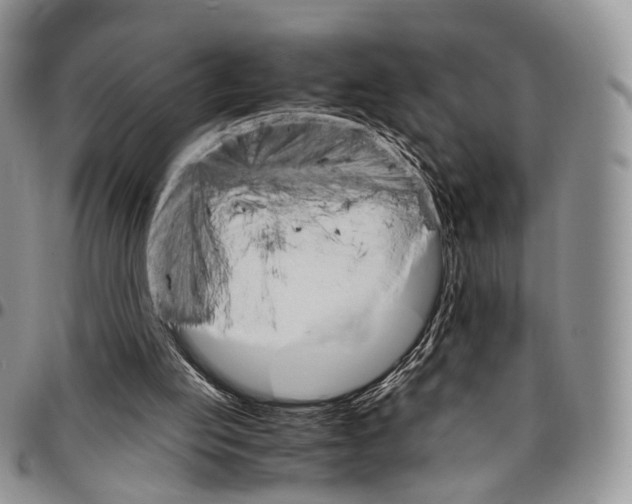 X0000096700053200803041329