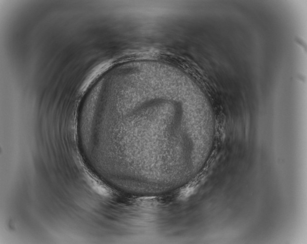 X0000096700054200803041329