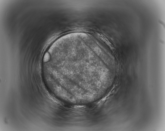 X0000096700055200803041329