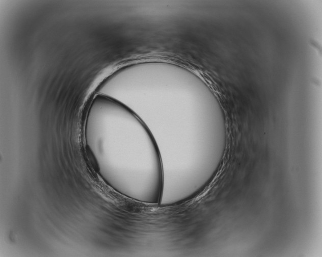 X0000096700056200803041329