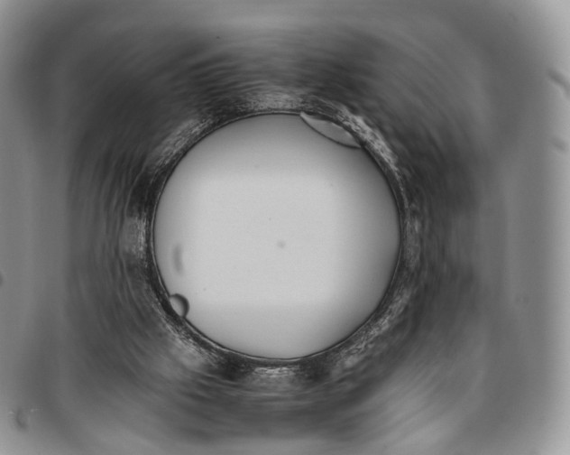 X0000096700057200803041329