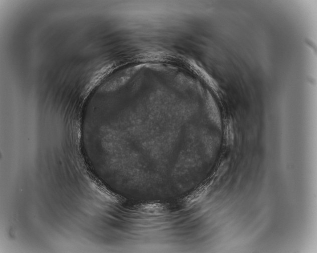 X0000096700059200803041329