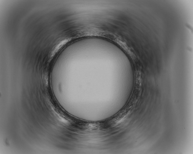 X0000096700060200803041329