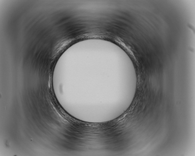 X0000096700062200803041329