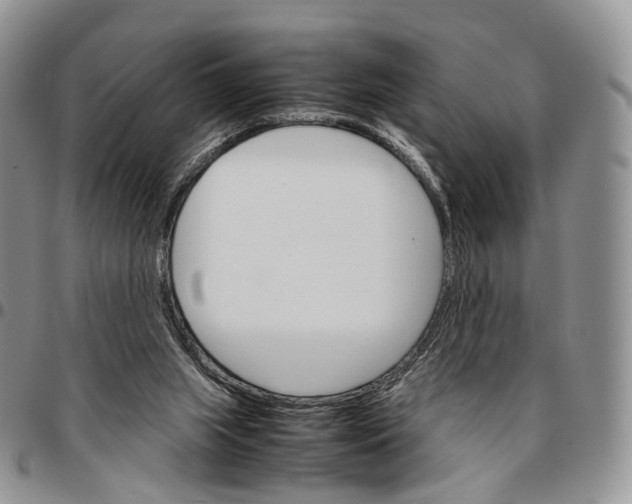 X0000096700063200803041329