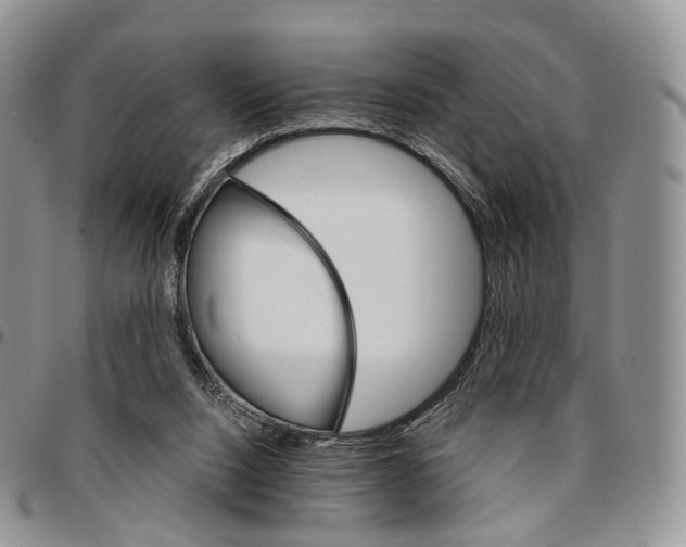 X0000096700064200803041329