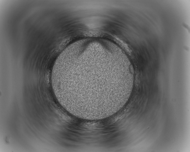 X0000096700065200803041329