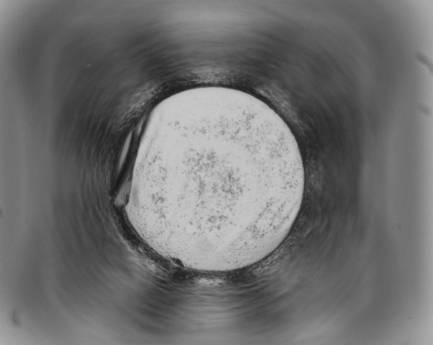 X0000096700066200803041329