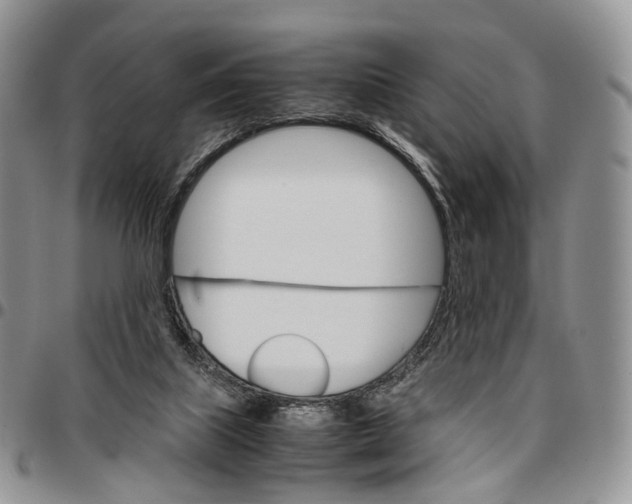 X0000096700067200803041329