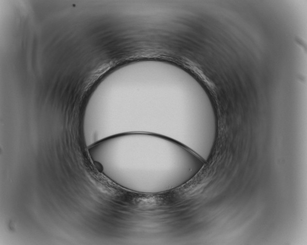X0000096700068200803041329