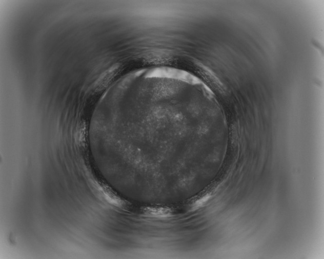 X0000096700073200803041329