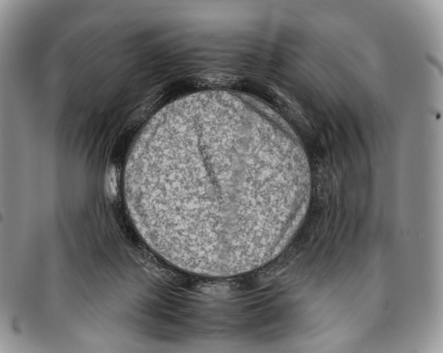 X0000096700075200803041329