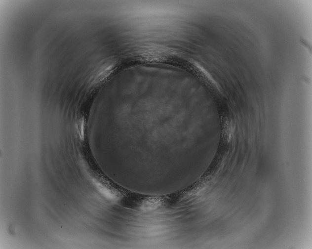 X0000096700076200803041329