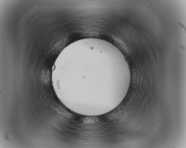 X0000096700077200803041329