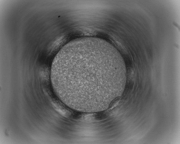 X0000096700078200803041329