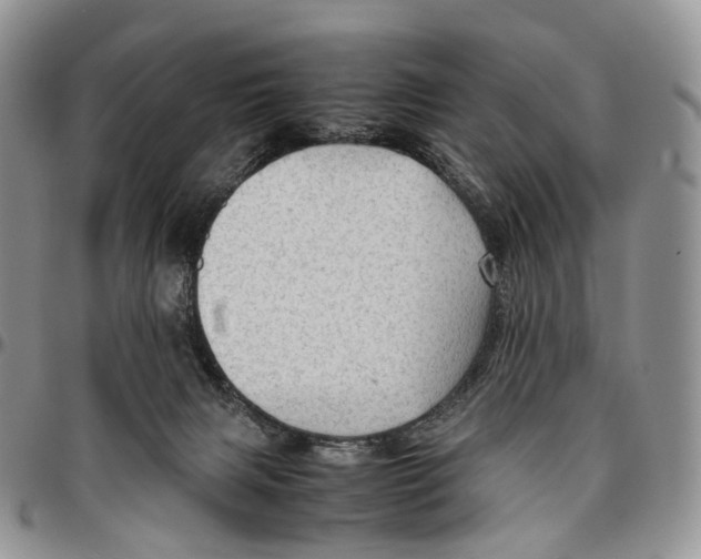 X0000096700079200803041329