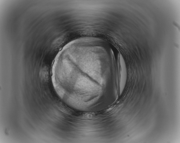 X0000096700080200803041329