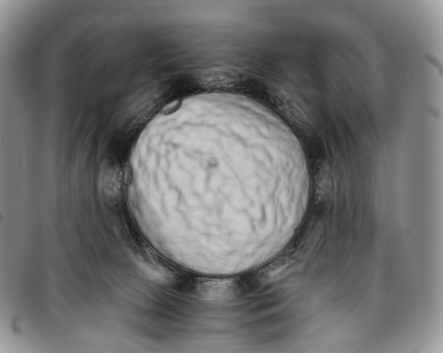 X0000096700081200803041329