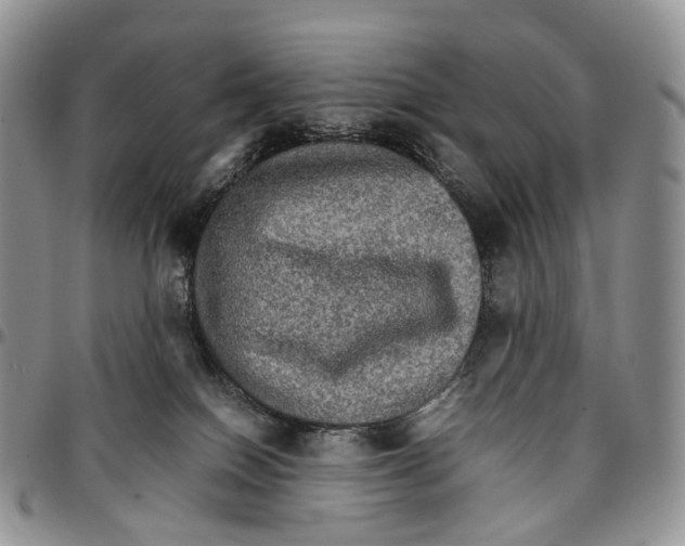 X0000096700086200803041330