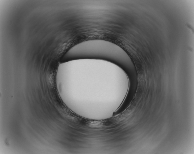 X0000096700088200803041330