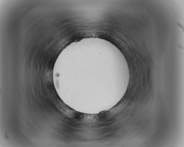 X0000096700096200803041330