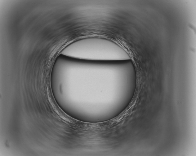 X0000096700097200803041329