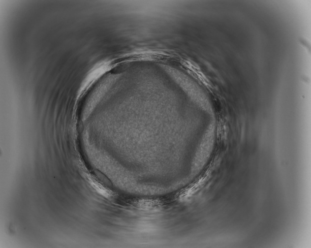 X0000096700101200803041329