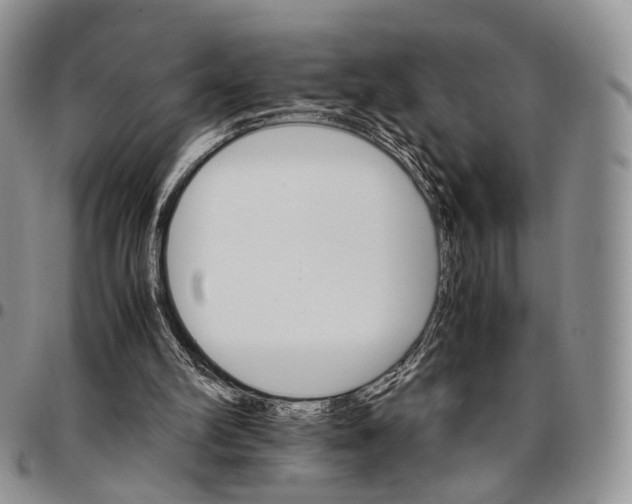 X0000096700102200803041329