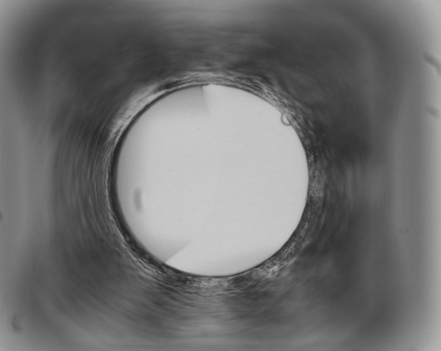 X0000096700103200803041329