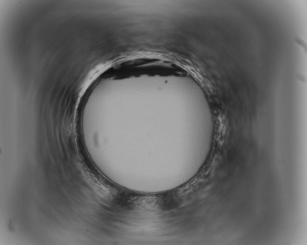 X0000096700104200803041329
