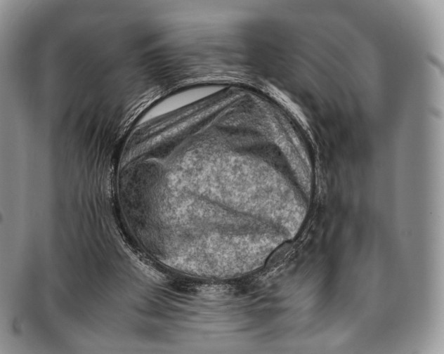 X0000096700105200803041329