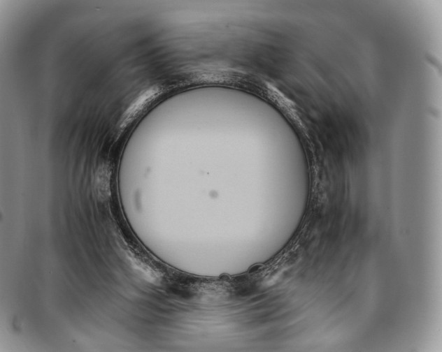 X0000096700106200803041329