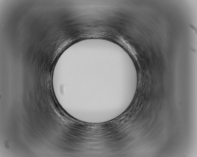 X0000096700107200803041329