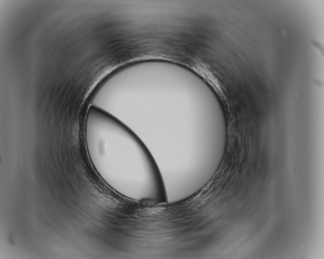 X0000096700108200803041329
