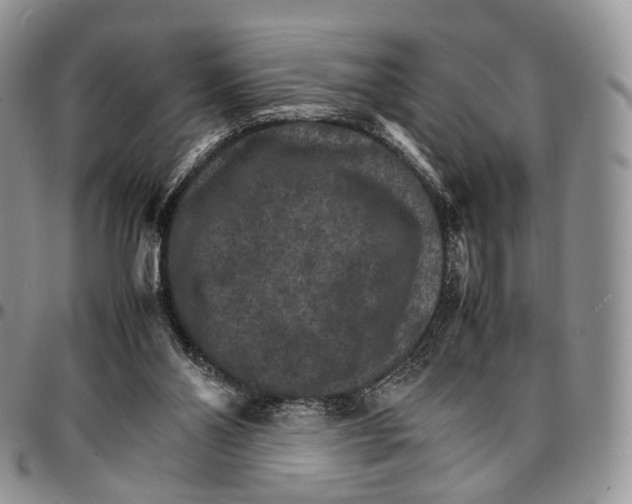 X0000096700110200803041329