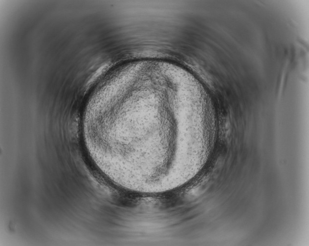 X0000096700111200803041329