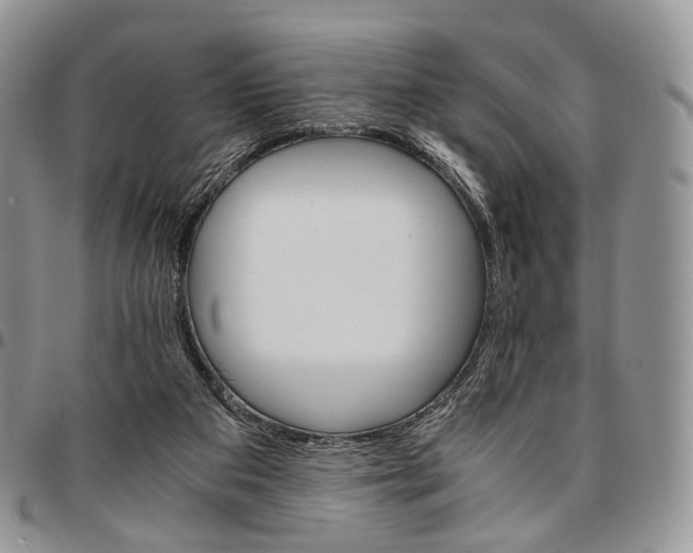 X0000096700113200803041329