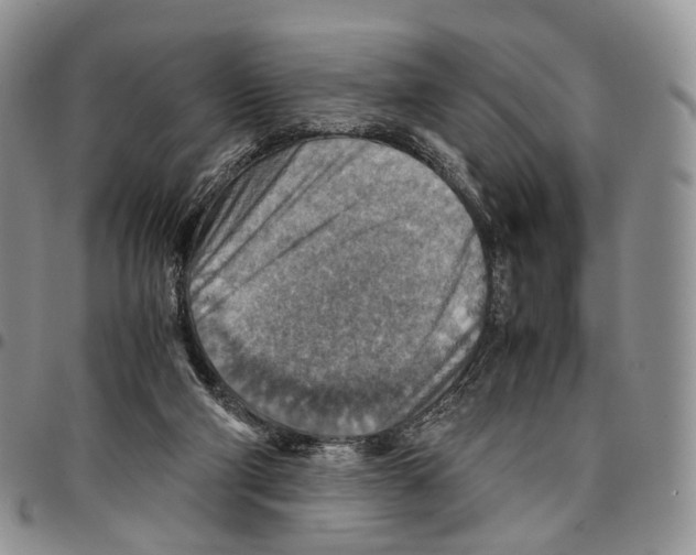 X0000096700114200803041329