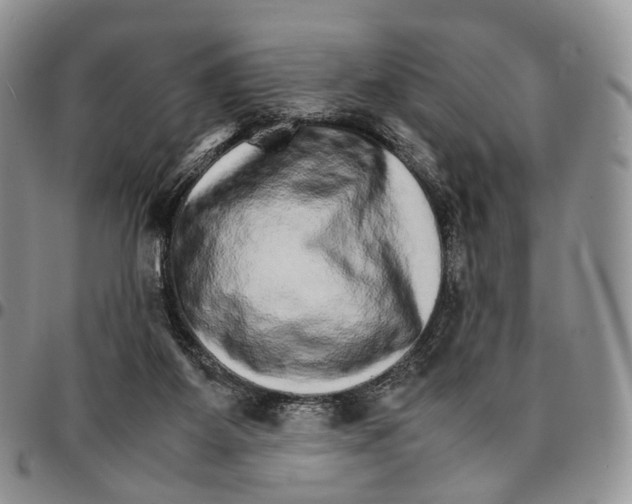 X0000096700115200803041329