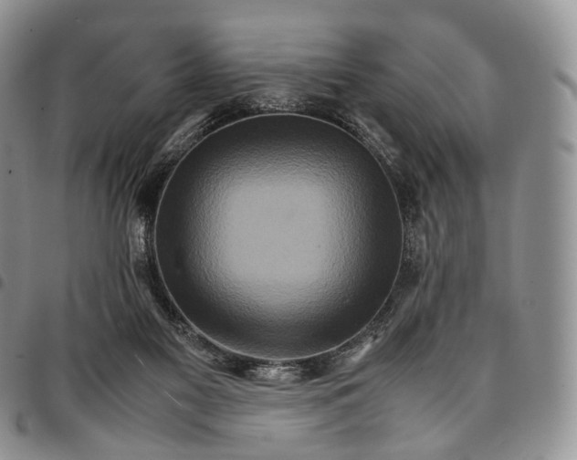 X0000096700117200803041329