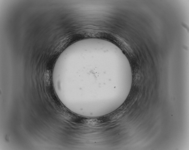 X0000096700121200803041329